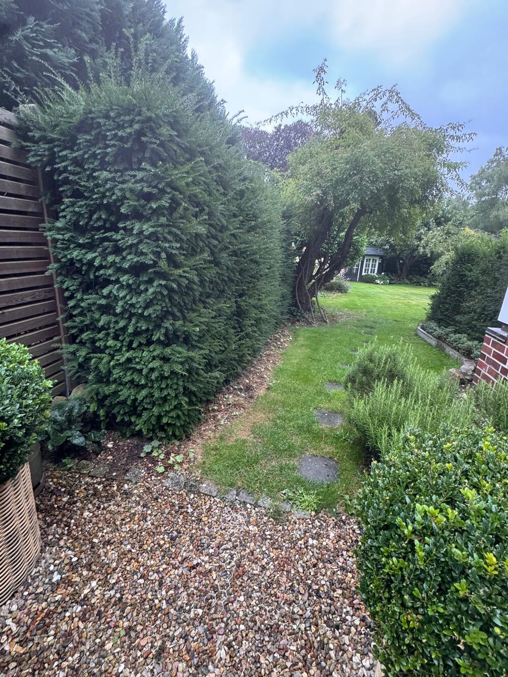 Gartenweg entlang der Hecke.